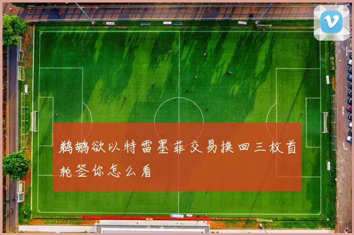 鹈鹕欲以特雷墨菲交易换回三枚首轮签你怎么看